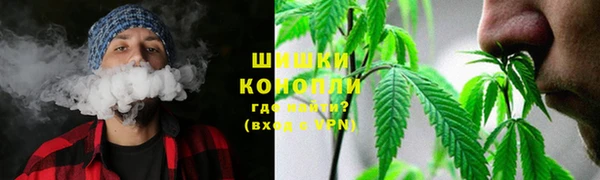 apvp Белокуриха
