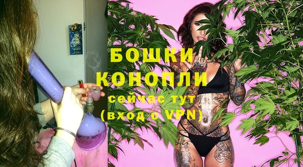 apvp Белокуриха