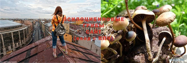 меф Белоозёрский