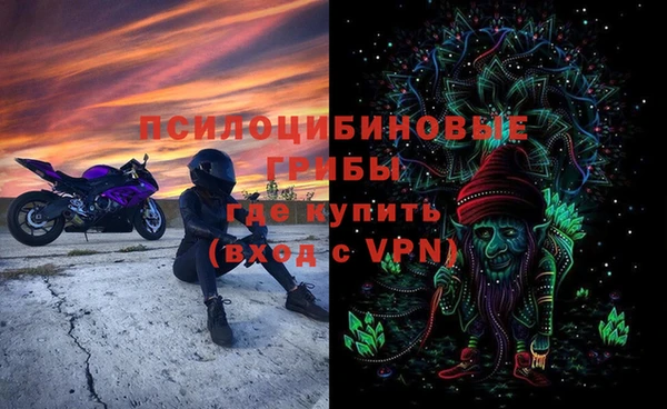 apvp Белокуриха