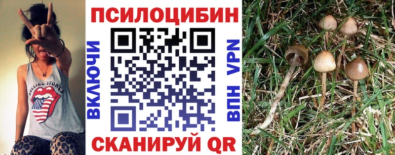 Псилоцибиновые грибы ЛСД  Сегежа 
